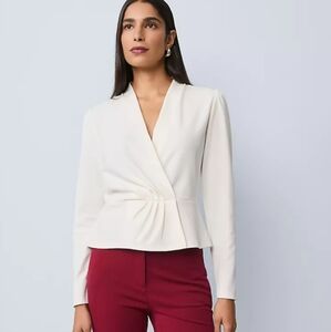 NWT Ann Taylor Pleat Blouse
